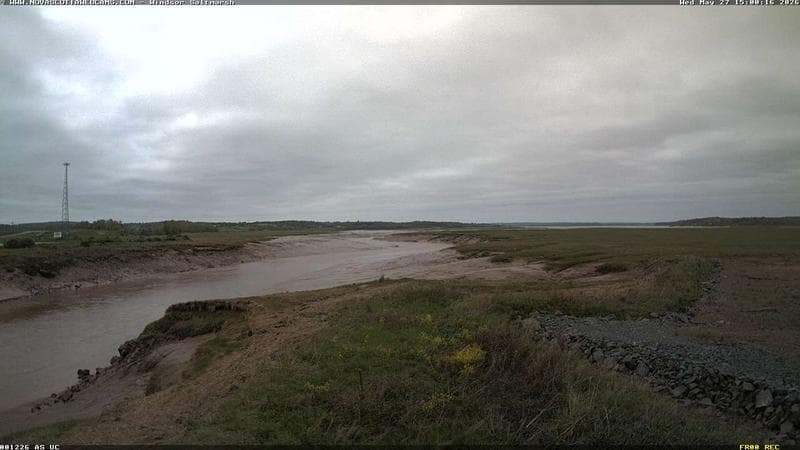 Windsor Salt Marsh
