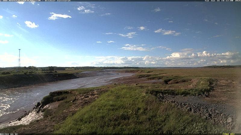 Windsor Salt Marsh