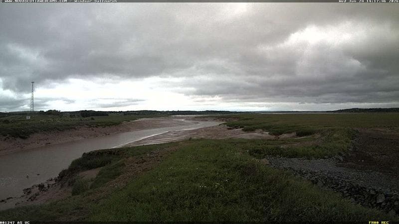 Windsor Salt Marsh