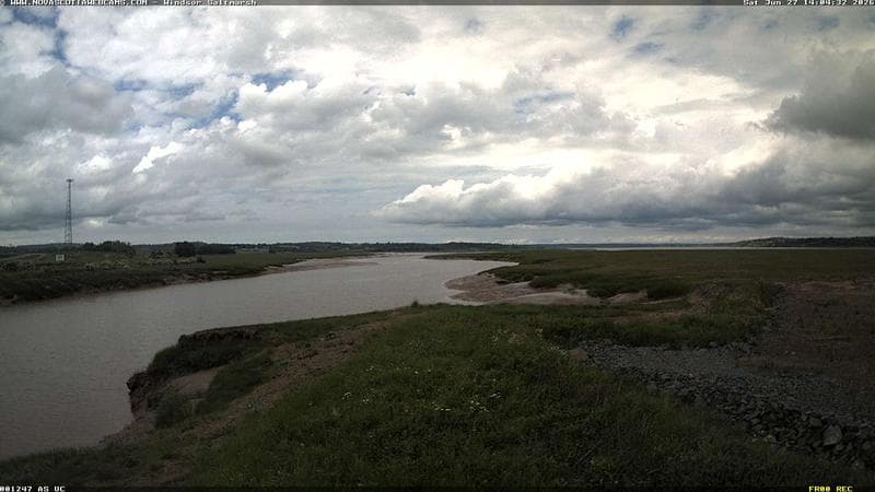 Windsor Salt Marsh