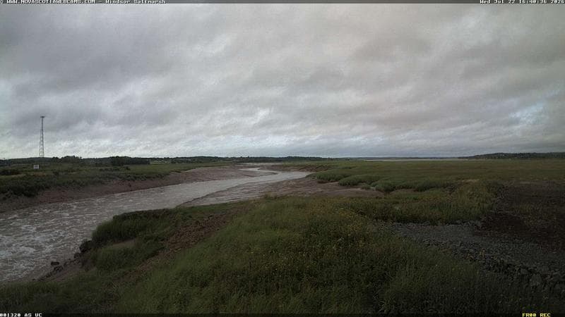 Windsor Salt Marsh