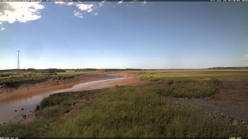 Windsor Salt Marsh