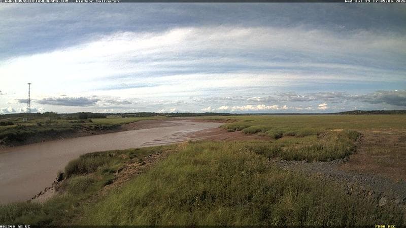 Windsor Salt Marsh