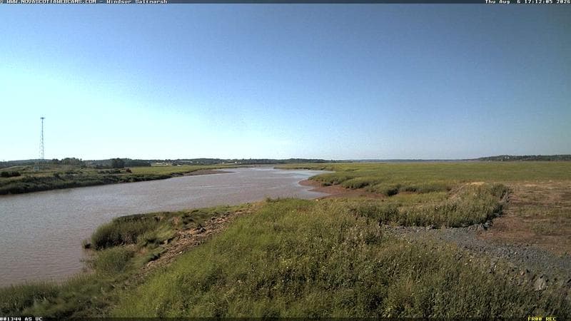 Windsor Salt Marsh