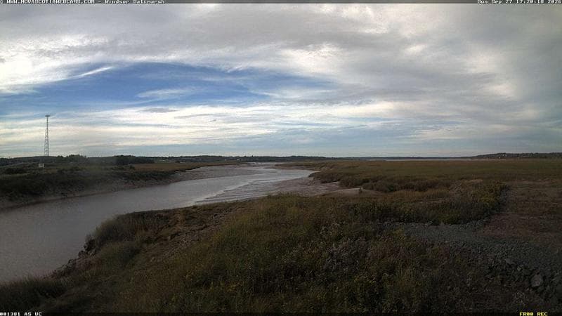 Windsor Salt Marsh