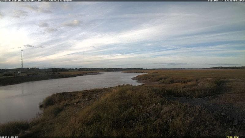 Windsor Salt Marsh