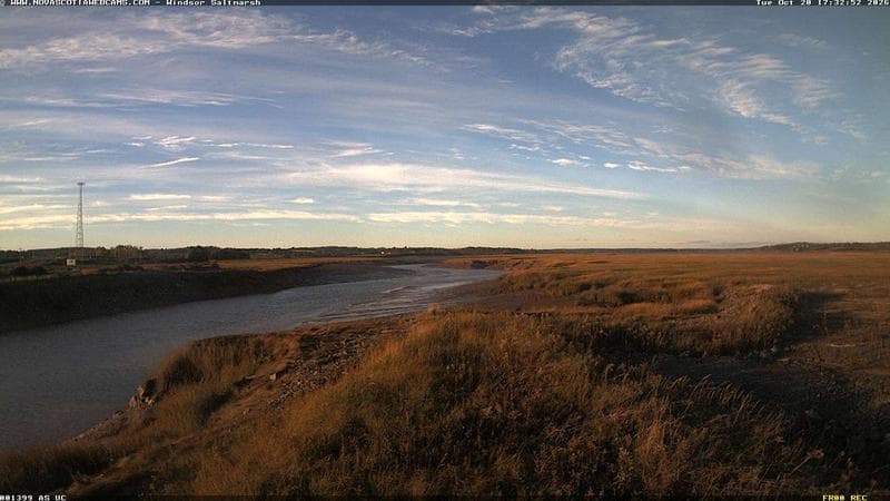 Windsor Salt Marsh