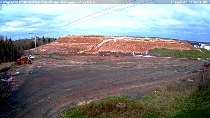 Windsor Salt