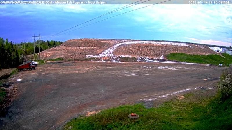 Windsor Salt