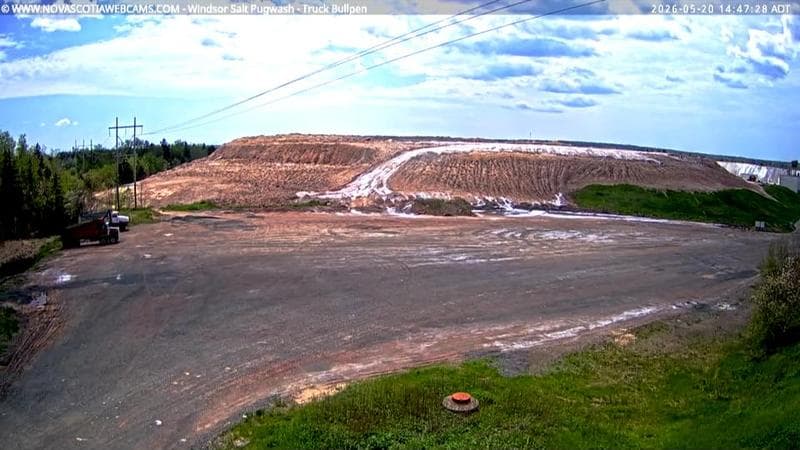 Windsor Salt