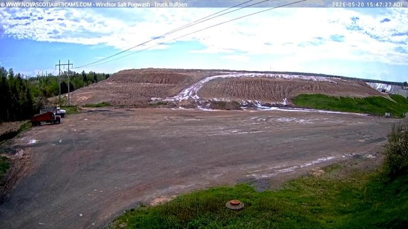 Windsor Salt
