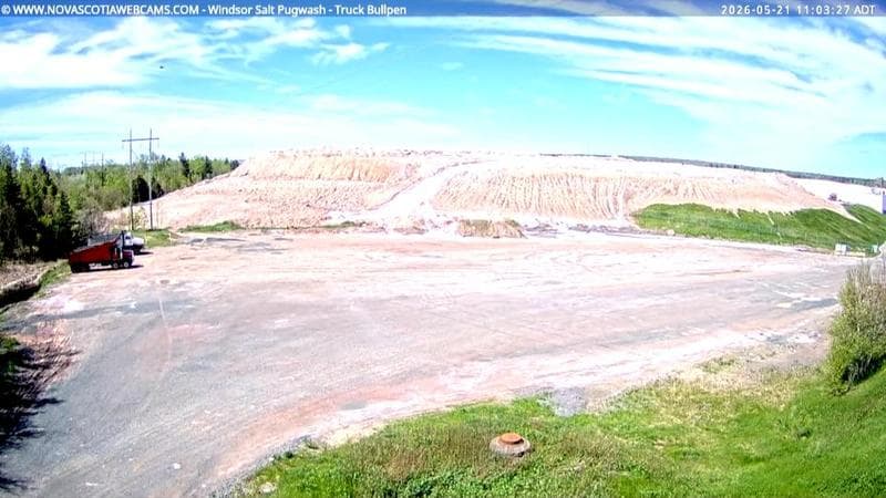 Windsor Salt