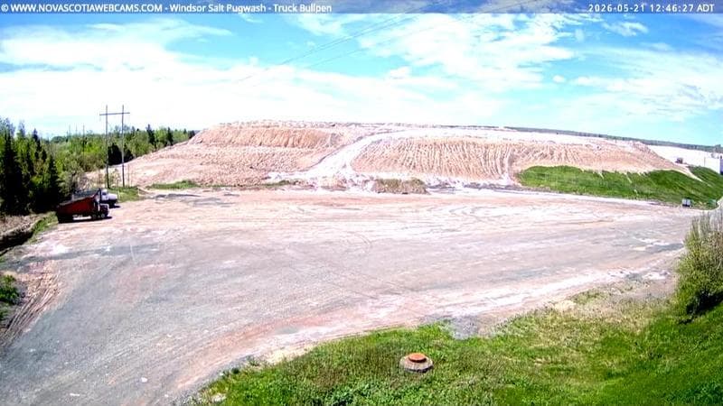 Windsor Salt