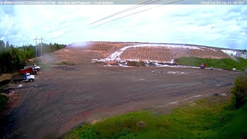 Windsor Salt