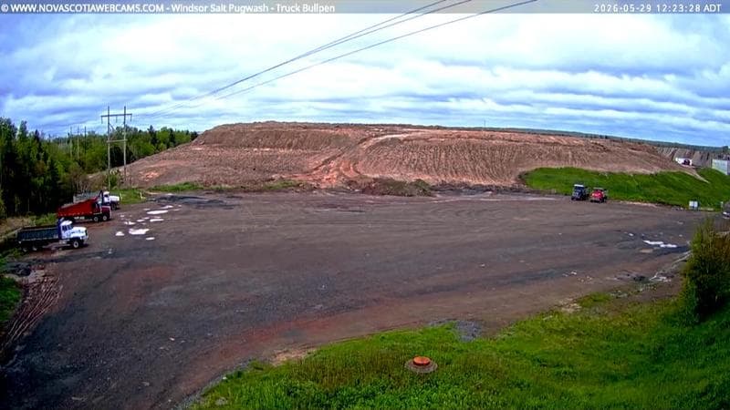 Windsor Salt