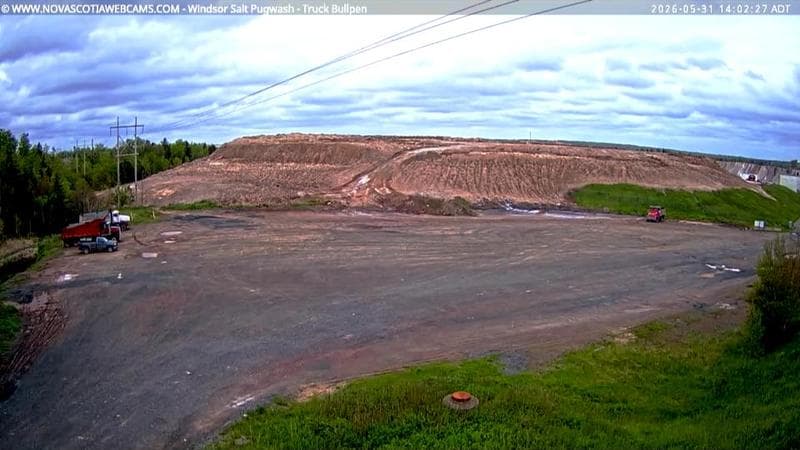 Windsor Salt
