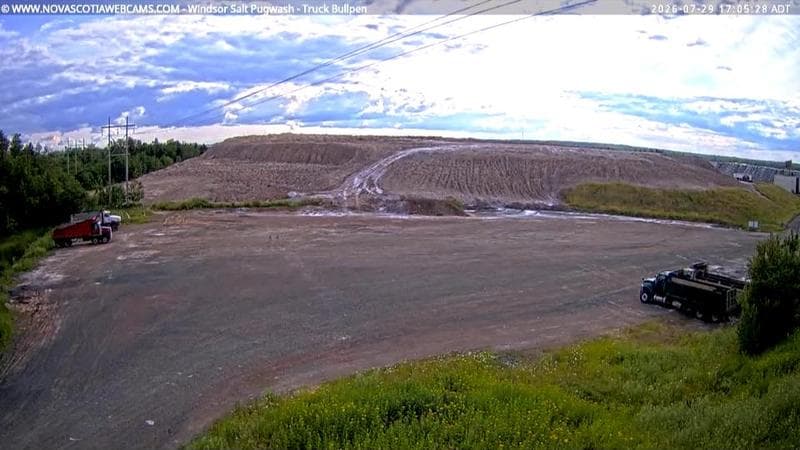 Windsor Salt