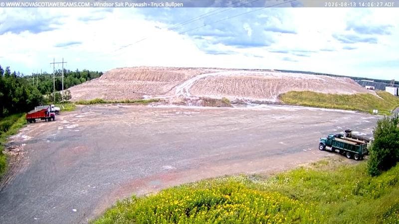 Windsor Salt