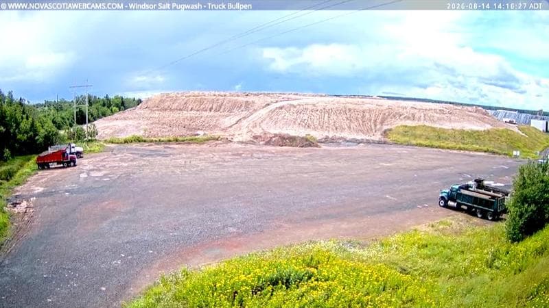 Windsor Salt