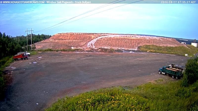 Windsor Salt