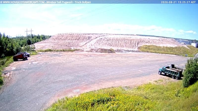 Windsor Salt